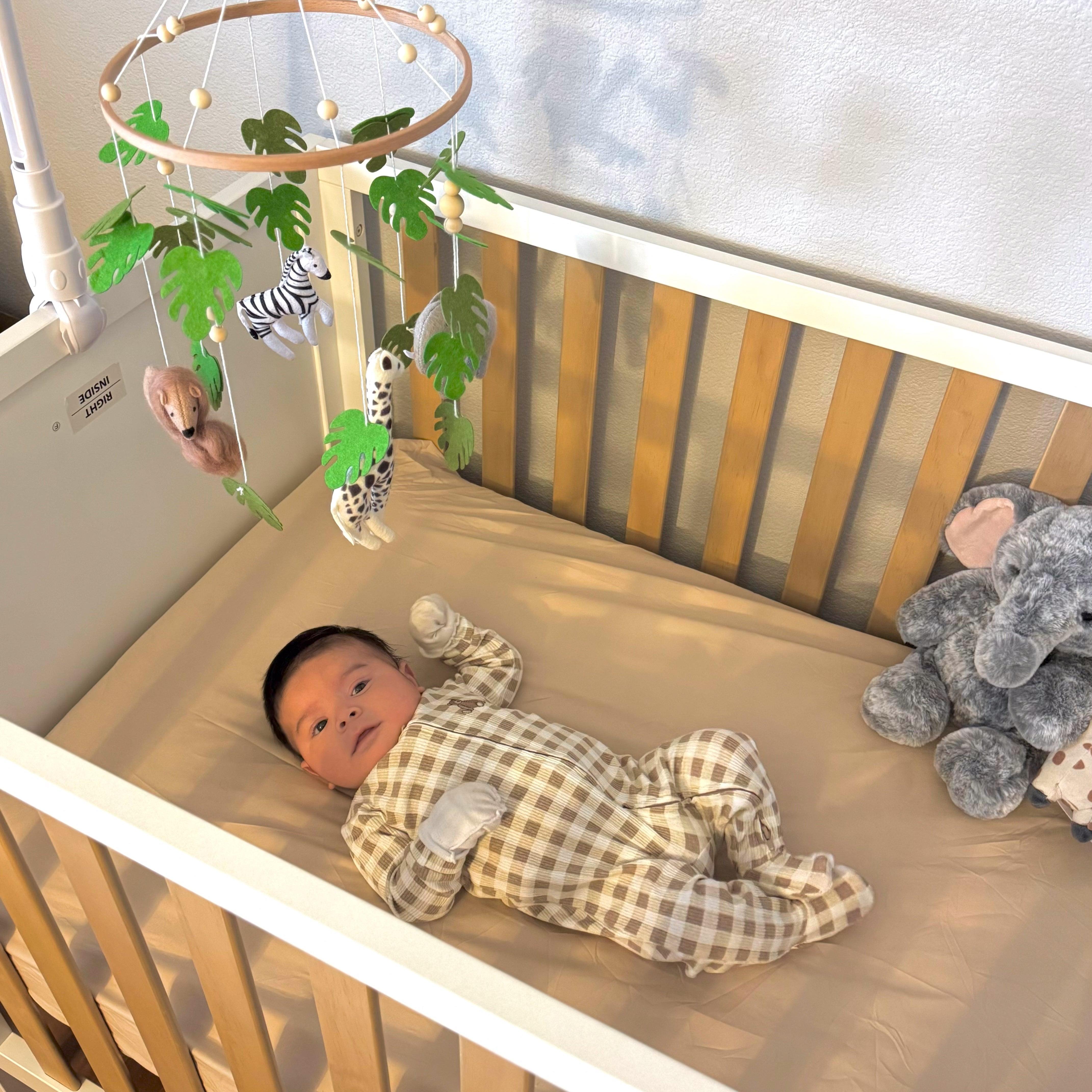 #color_White + Natural Wood