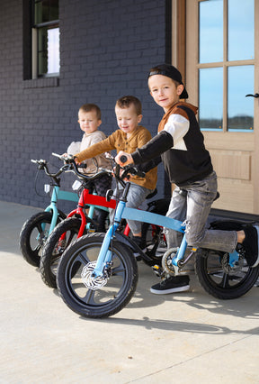 HARPPA Leopo Kids Bike: Ages 3-6, 14 16 Inch with Sparking Training Wheels & Headlights