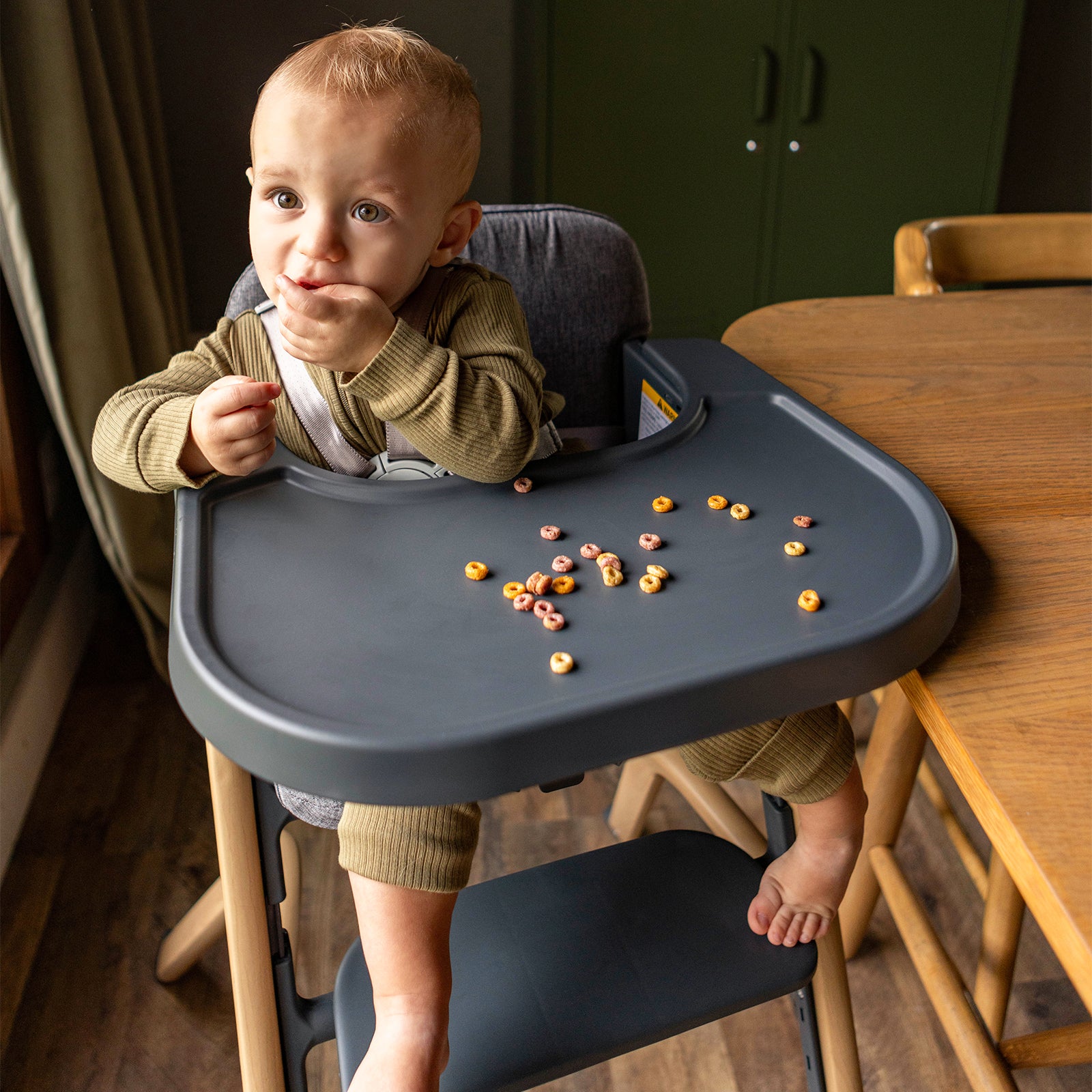 HARPPA Caspio | Adjustable Baby High Chair with Removable Tray