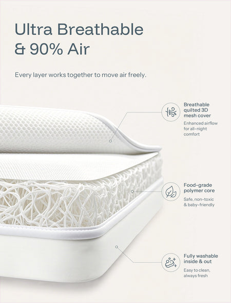 Cuddly Signature Baby Bassinet