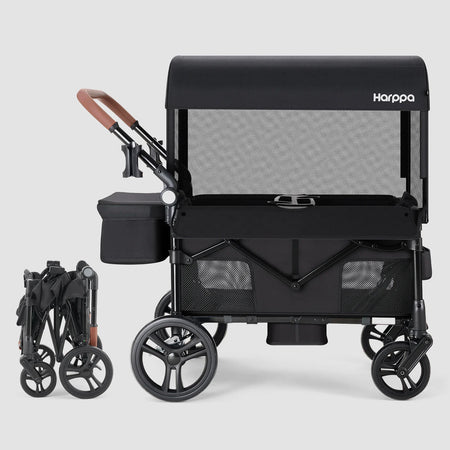 Remy 2-Seat Wagon Stroller