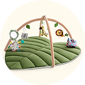 Play Gym