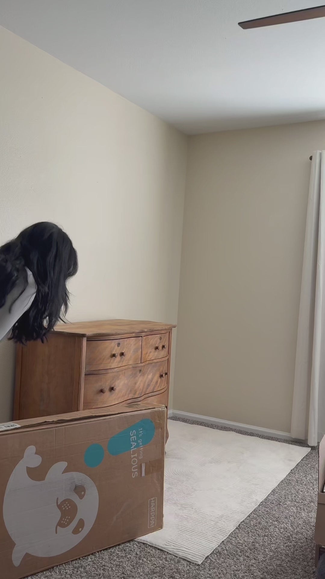 Load video: 