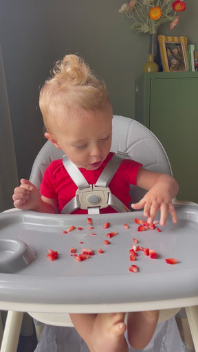 HARPPA Baby High Chair